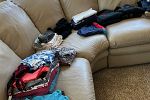 Sale Photo Thumbnail #15