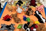 Sale Photo Thumbnail #12