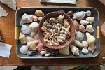 Sale Photo Thumbnail #12