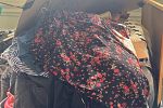 Sale Photo Thumbnail #9