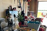 Sale Photo Thumbnail #8