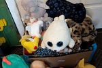 Sale Photo Thumbnail #10