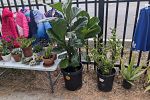 Sale Photo Thumbnail #17