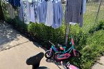 Sale Photo Thumbnail #4