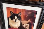 Sale Photo Thumbnail #15