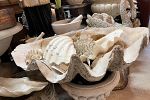Sale Photo Thumbnail #40