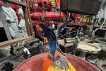 Sale Photo Thumbnail #27