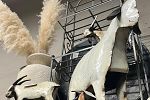 Sale Photo Thumbnail #30