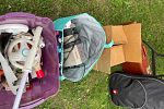 Sale Photo Thumbnail #26
