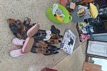 Sale Photo Thumbnail #8
