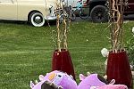 Sale Photo Thumbnail #2