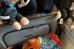Sale Photo Thumbnail #4