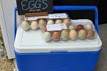 Sale Photo Thumbnail #34