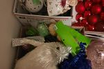 Sale Photo Thumbnail #31