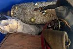 Sale Photo Thumbnail #13