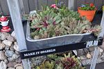 Sale Photo Thumbnail #17