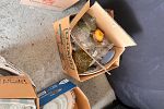 Sale Photo Thumbnail #13