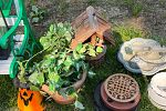 Sale Photo Thumbnail #30