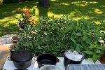 Sale Photo Thumbnail #12