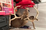 Sale Photo Thumbnail #25