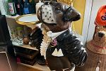 Sale Photo Thumbnail #40