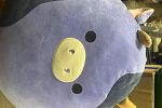 Sale Photo Thumbnail #9