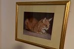 Sale Photo Thumbnail #19