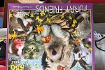 Sale Photo Thumbnail #26
