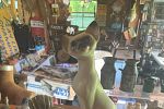 Sale Photo Thumbnail #12