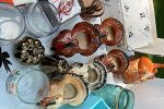 Sale Photo Thumbnail #18