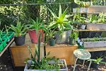 Sale Photo Thumbnail #9