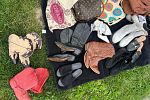 Sale Photo Thumbnail #8