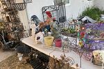 Sale Photo Thumbnail #7