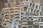 Sale Photo Thumbnail #21