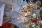 Sale Photo Thumbnail #37