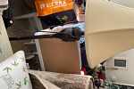 Sale Photo Thumbnail #21