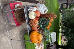 Sale Photo Thumbnail #12