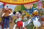 Sale Photo Thumbnail #45