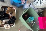 Sale Photo Thumbnail #11