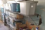 Sale Photo Thumbnail #30