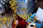 Sale Photo Thumbnail #17