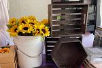 Sale Photo Thumbnail #7