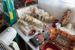 Sale Photo Thumbnail #5