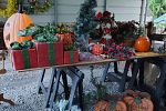 Sale Photo Thumbnail #9
