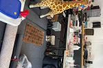 Sale Photo Thumbnail #8