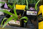 Sale Photo Thumbnail #47