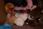 Sale Photo Thumbnail #8