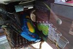 Sale Photo Thumbnail #9