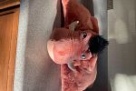 Sale Photo Thumbnail #22