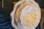 Sale Photo Thumbnail #57